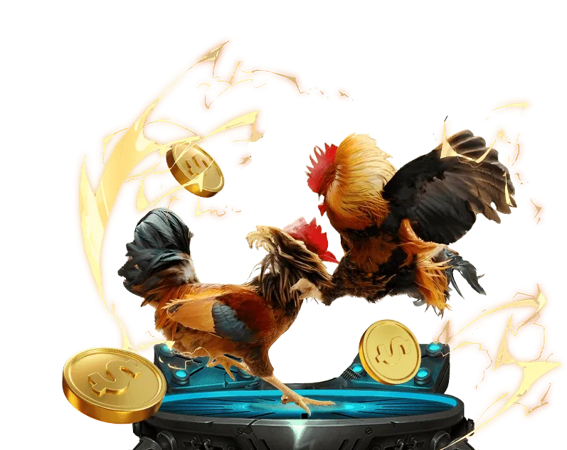 Mẹo chơi đá gà SM66 trực tuyến